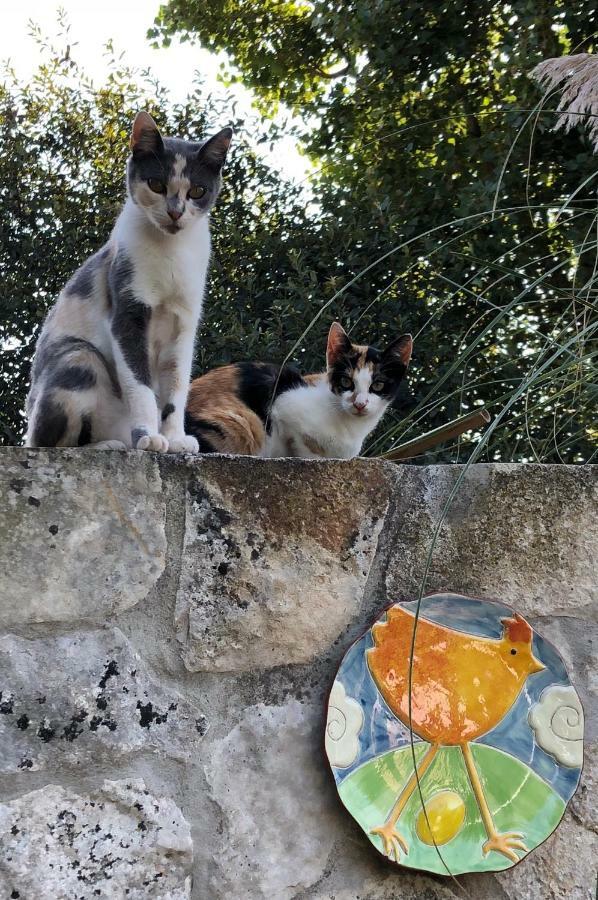 Casas Dos Infantes - Turismo Rural Caldas Da Rainha Dış mekan fotoğraf